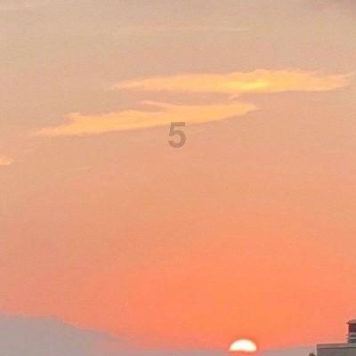 邵阳市市场监督管理局荣获2023年度全市行政执法案卷评查优秀单位